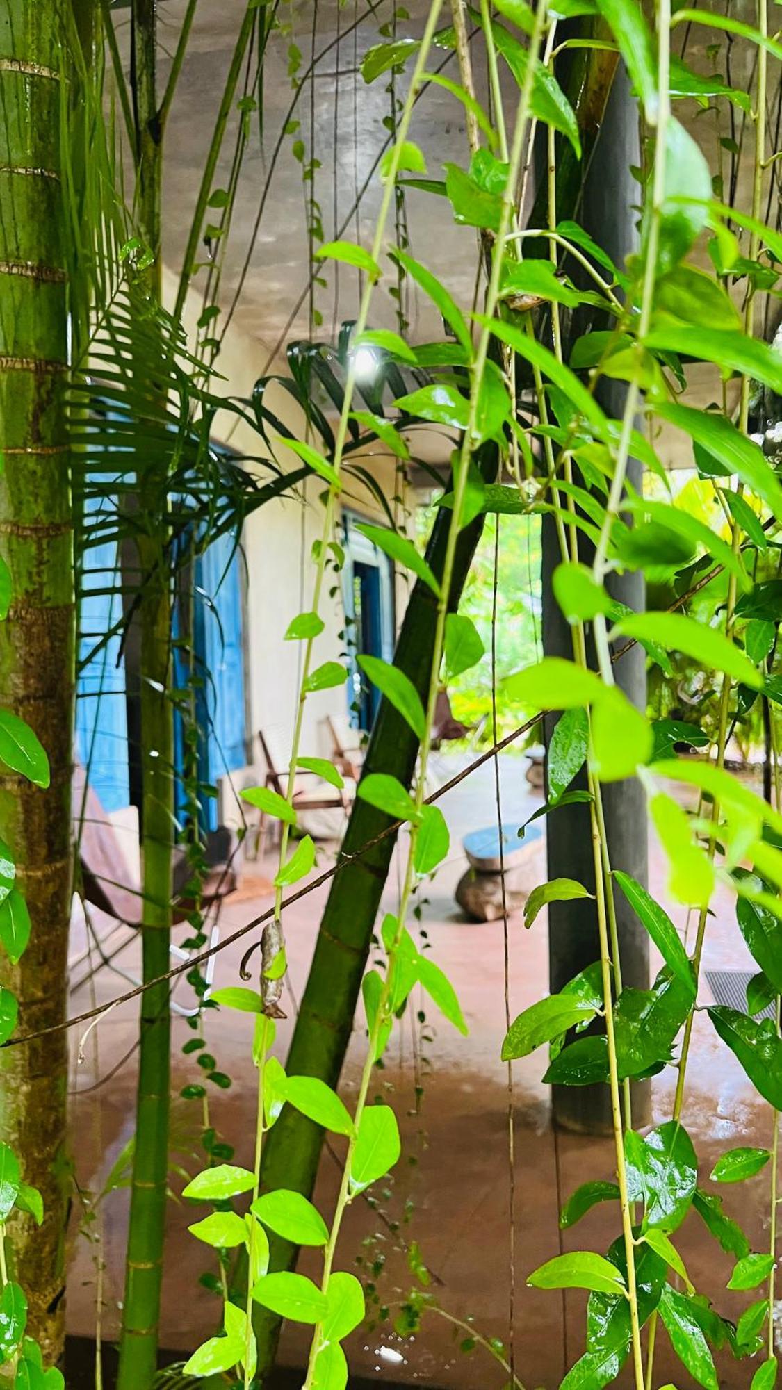 Kataragama Homestay Екстериор снимка