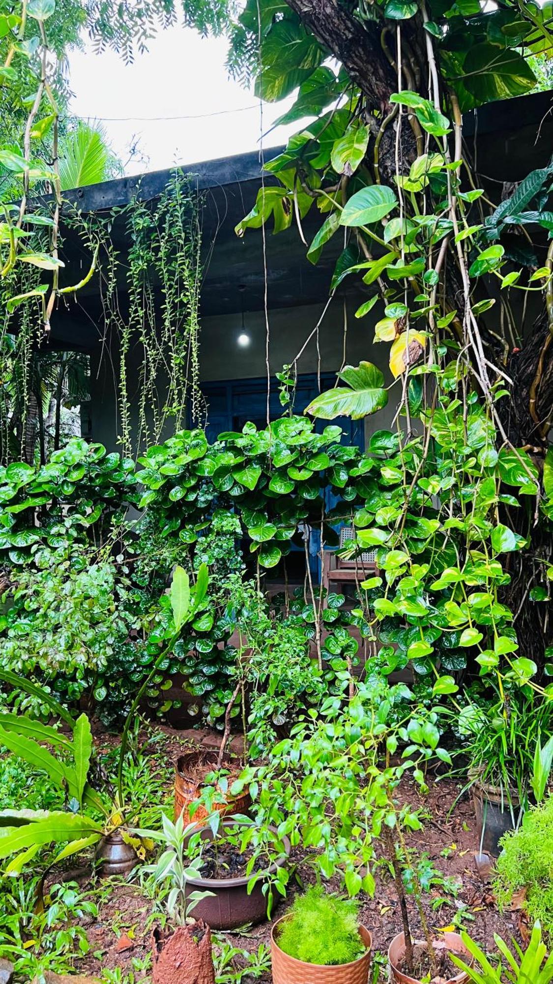 Kataragama Homestay Екстериор снимка
