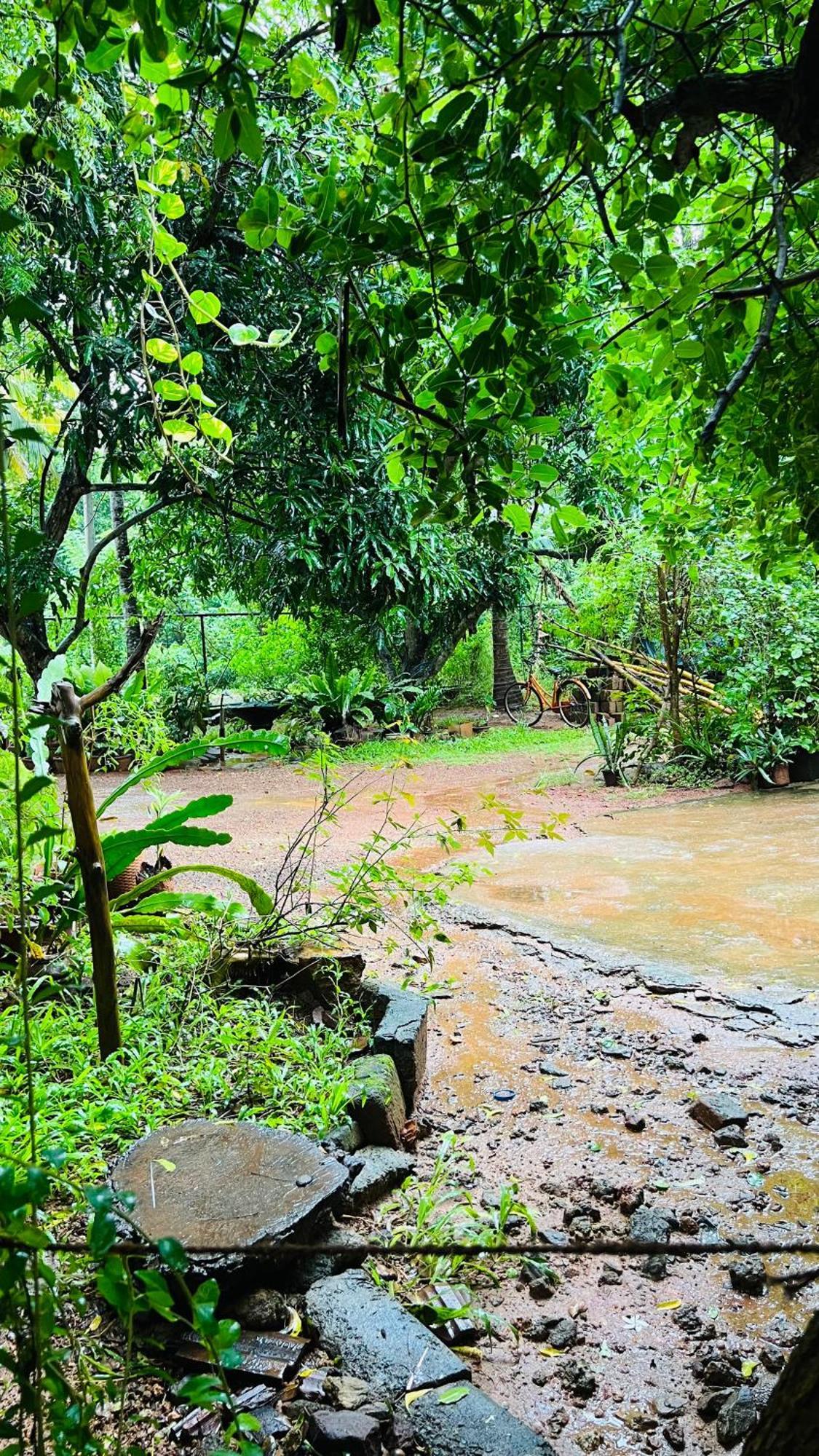 Kataragama Homestay Екстериор снимка