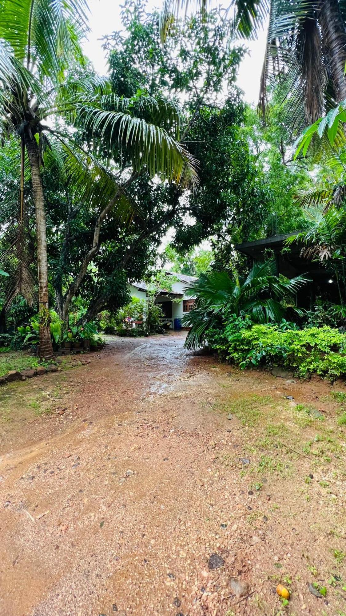 Kataragama Homestay Екстериор снимка