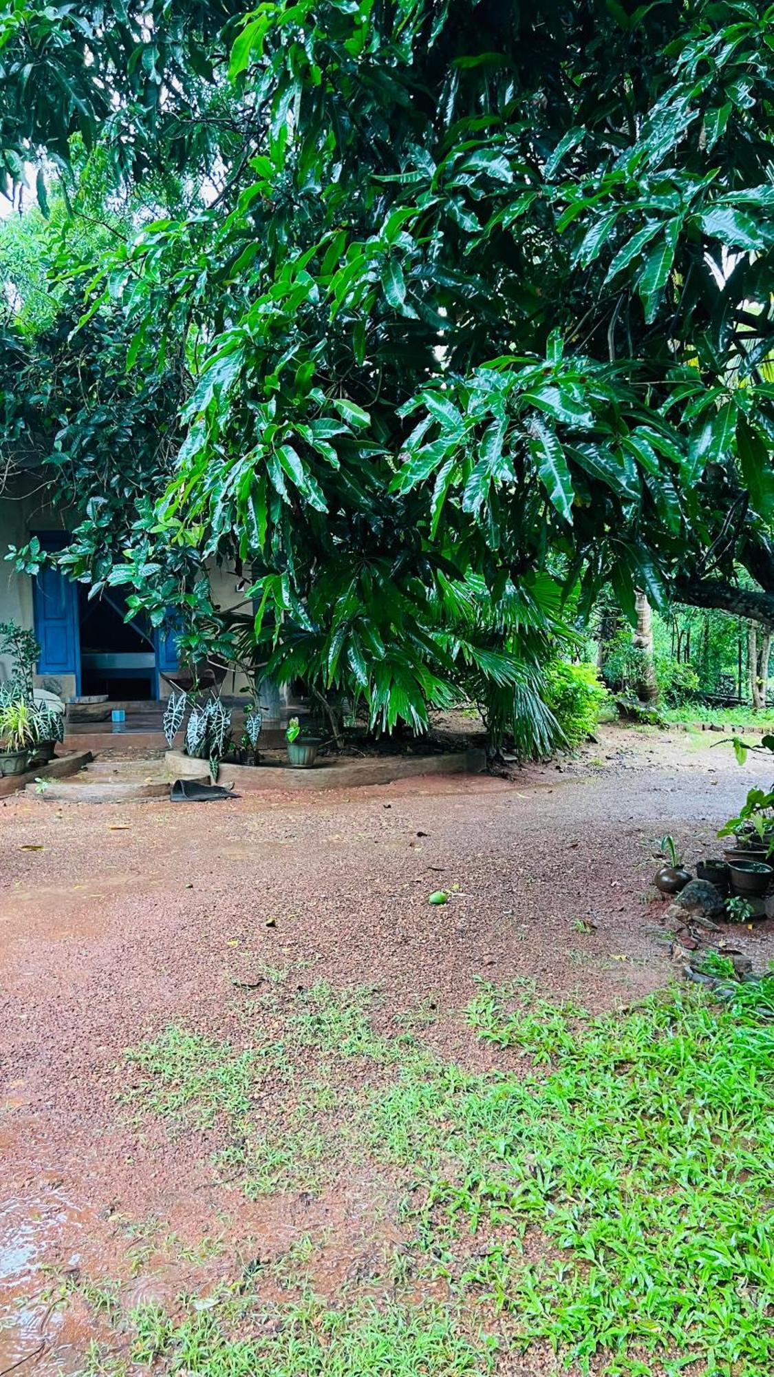 Kataragama Homestay Екстериор снимка