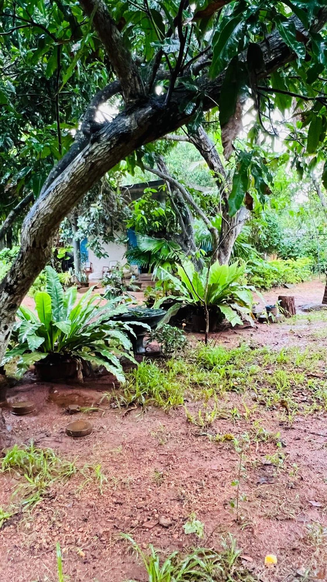 Kataragama Homestay Екстериор снимка