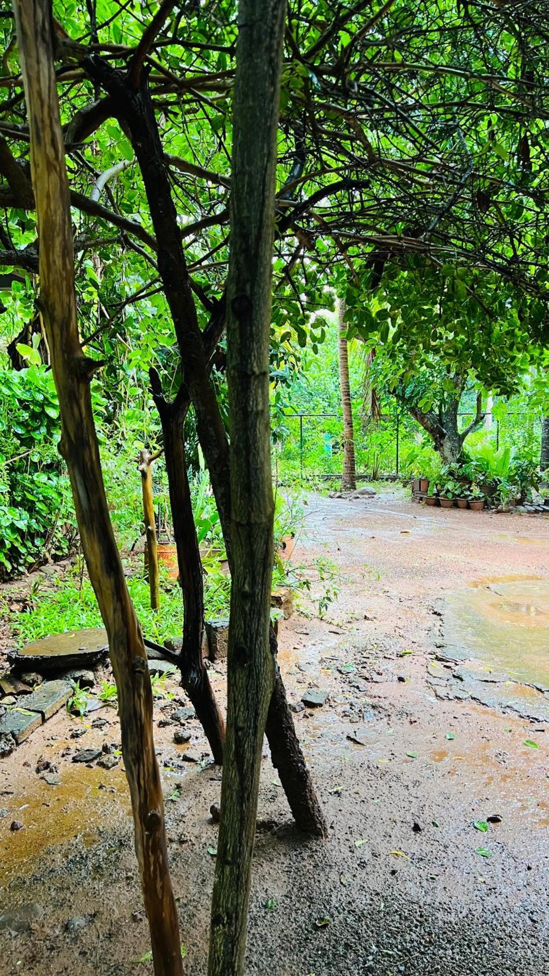 Kataragama Homestay Екстериор снимка